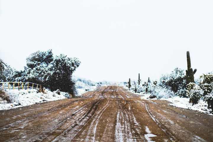 ¿Nevadas en San Luis Potosí este año? Vórtice polar traerá hasta