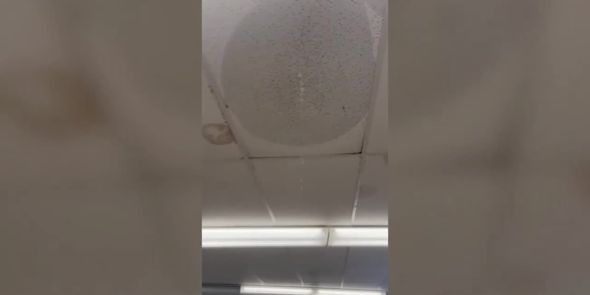 Teachers say school needs permanent solutions to fix leaky pipes