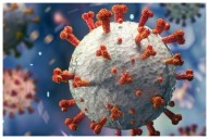 Qué es el virus de Marburgo y por qué está encendiendo las alertas sanitarias en el continente africano