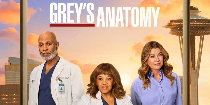Why ‘Grey’s Anatomy’ Won’t Air Another New Episode for 8 More Weeks | ABC, Greys Anatomy, Television
