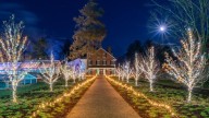 Here's why this Mass. location will not host 'Winterlights' this year