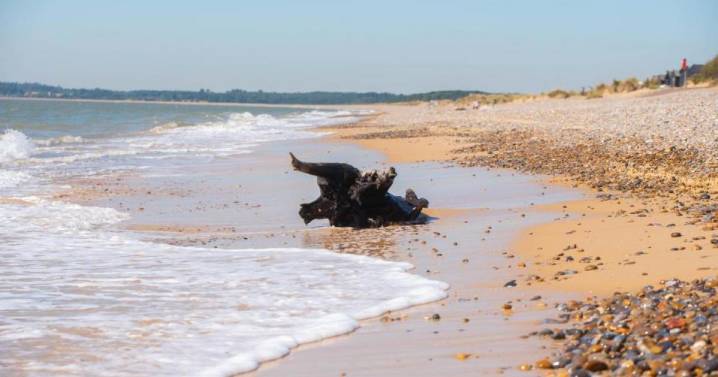 Why Walberswick in Suffolk is popular among celebrities