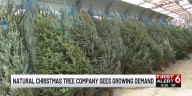 Omaha Christmas tree company says demand is growing