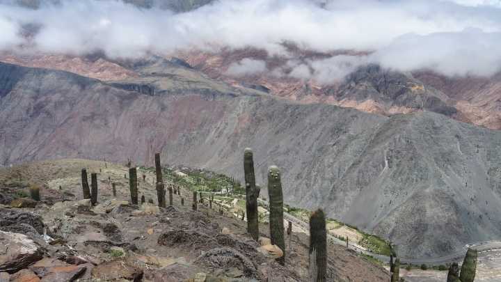 Descubrí Salta: el destino para conocer una de las joyas arqueológicas argentinas
