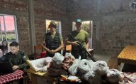 Ituzaingó: allanaron un comedor rural y secuestraron carne producto de un abigeato