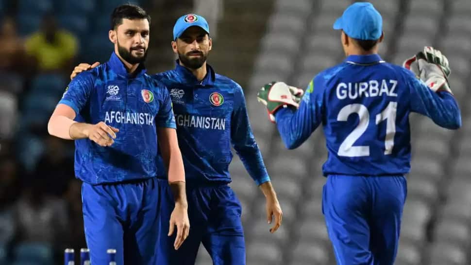 Afghanistan To Host West Indies In Three-Match T20I Series Ahead Of 2026 World Cup
