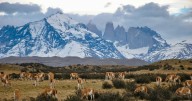 Sorpresiva tormenta cobra la vida de dos turistas mexicanos en parque nacional de Chile