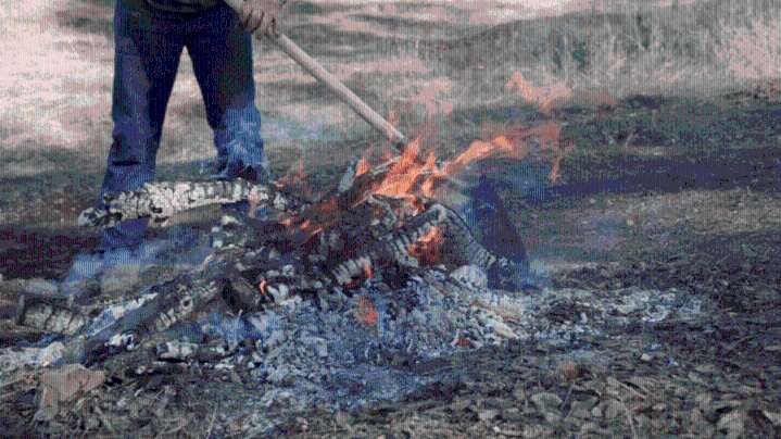 Cal Fire lifts burn permit requirement in four counties