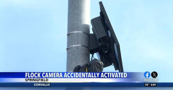 Stolen car found in Springfield due to Flock camera being accidentally activated