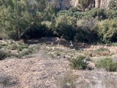 Elche firma un convenio con la Acequia Mayor para garantizar su mantenimiento y conservación