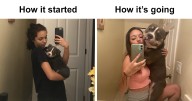 42 Of The Best Reactions Pet Owners Had To The ‘How It Started Vs. How It Ended’ Meme Challenge