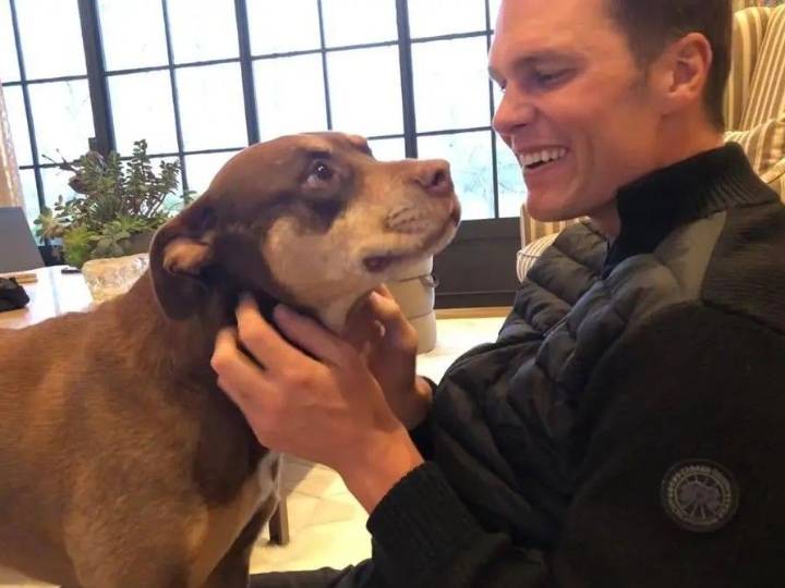 Tom Brady reveals his dog is a clone of family pet who died in 2023