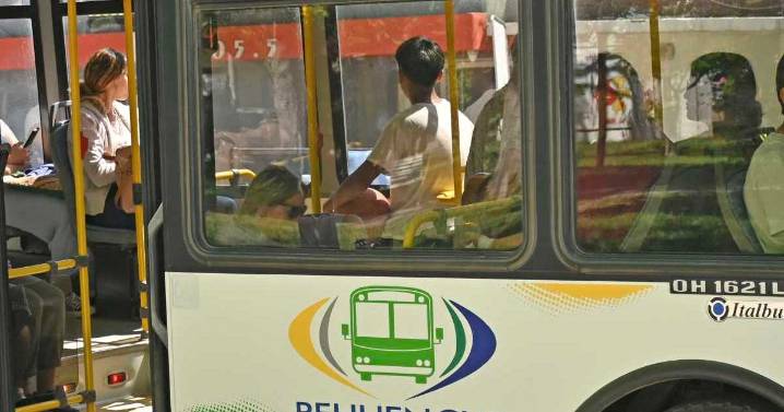 Transporte urbano en Cipolletti: los nuevos recorridos y barrios que sumará el sistema