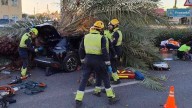 Muere un joven de 22 años al caer una palmera sobre su coche en una carretera