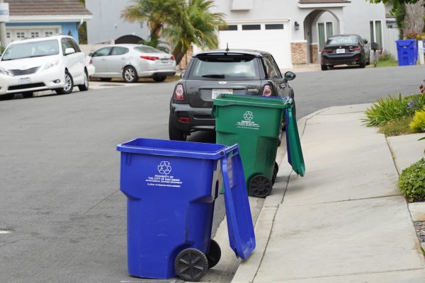 America Recycles Day: What and what not to put in the bin