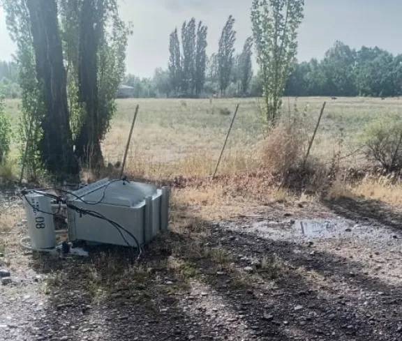 Allen: un álamo cayó por el viento y dejó sin luz a un amplio sector de la ex Isla 10