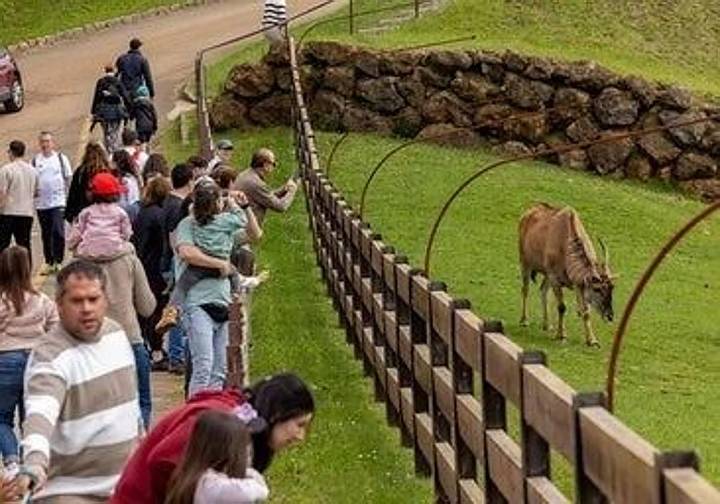 Turismo lanza la campaña «+Cabárceno por menos» con precios reducidos y visitas guiadas