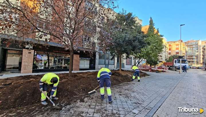 La nueva cara de la calle Gütenberg: más árboles, una fuente y hasta una mesa de ajedrez