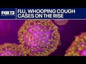 Flu, whooping cough cases hit record numbers