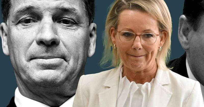 Conservatives in show of force before net