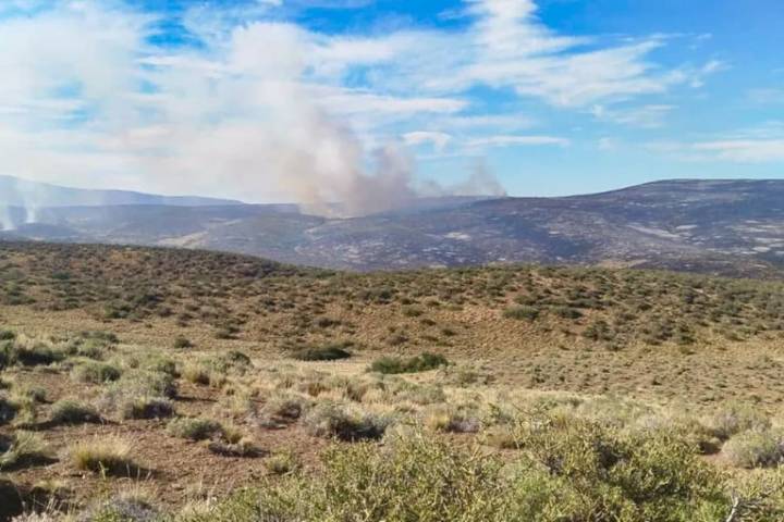 Nuevos incendios en el sur. Seis focos pusieron en vilo a una provincia: “Situación especialmente compleja”