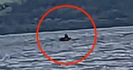 Loch Ness monster has 'black head' as US tourist makes Nessie sighting claim