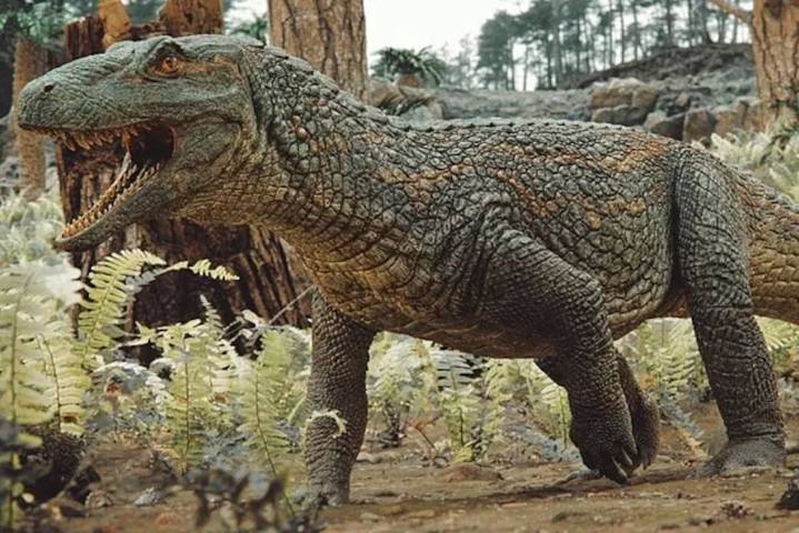 Lagarto depredador gigante descubierto en Brasil era un precursor del cocodrilo