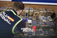 Policía desmantela "oficina" del Cártel Jalisco Nueva Generación en España