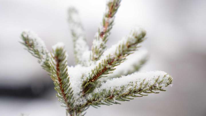 When will Illinois get snow? About La Niña, seasonal effects