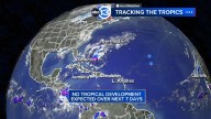 Tropical weather update 2025: No tropical development expected over the next 7 days
