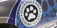 Sioux Falls Area Humane Society gives update on distemper at shelter