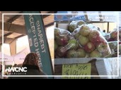 Program offers lifeline to Mecklenburg County's SNAP participants amid federal shutdown