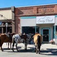 Tragedy in Big Timber: Mother mulls liquidating Crazy Peak Boutique after daughter's death