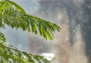 Clima en Cancún: Lluvias puntuales muy fuertes en Quintana Roo