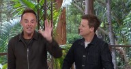 I'm A Celebrity fans say the same thing as Ant and Dec address 'jumpscare' glitch