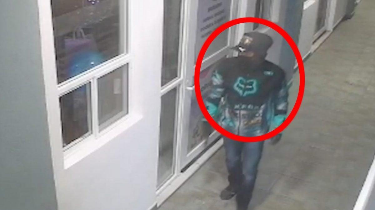 ¡Rata educada! Captan saqueo a escuela; busca policía a responsable de robo