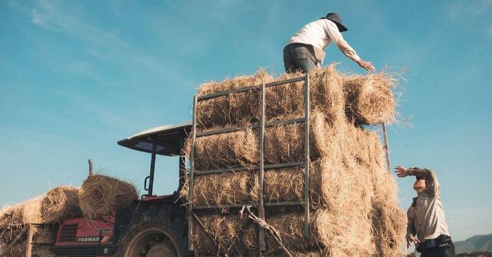 La Seguridad Social cargará este viernes a miles de autónomos agrarios pequeñas cuotas pendientes de 2021