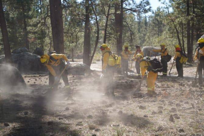 Concluyó entrenamiento de brigadistas forestales