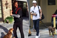 Tom Brady admits dog Junie is a clone of 'beloved' late pet Lua
