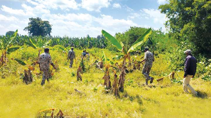 Human-wild animal conflict: Will stop safaris if deaths persist, warns Khandre