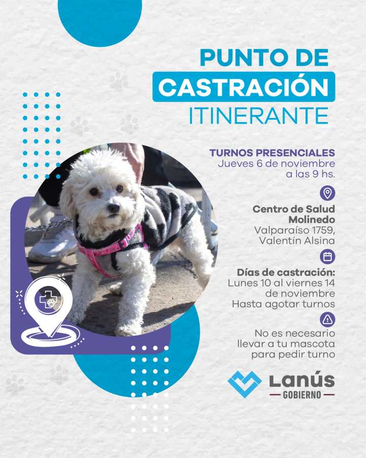 En Lanús realizarán otro punto de castración itinerante en Valentín Alsina