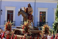 La Borriquilla celebra sus cultos este fin de semana con su habitual recogida solidaria de alimentos