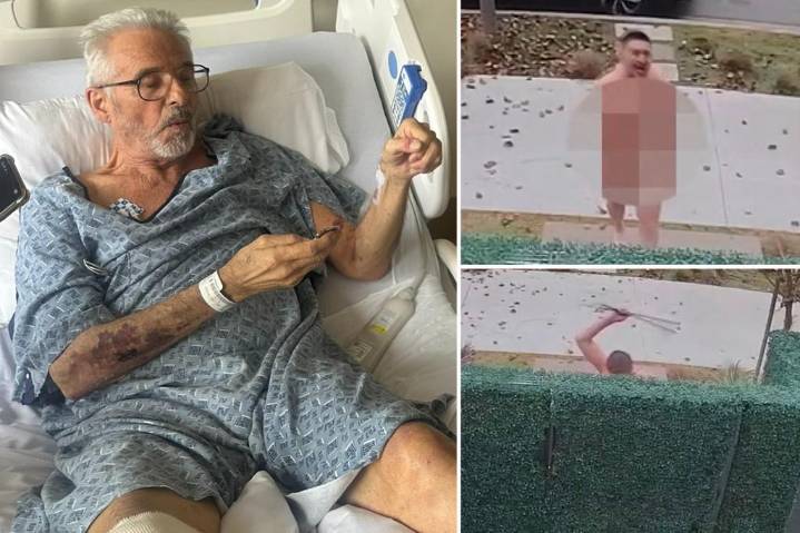 Vietnam veteran, 79, hailed as hero after he shot and killed naked intruder who broke into female tenant's LA home