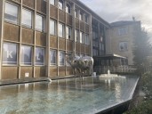 Silenced councillor admits north-south split is ‘not quite viable’ | Local News 