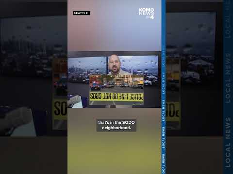 Bodycam videos released of fatal shooting of man aiming gun at Seattle Police officers