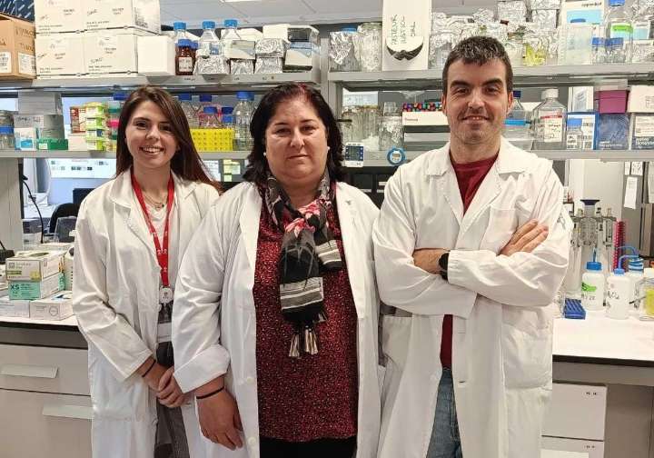 Nuevo avance contra el cáncer: investigadores asturianos identifican una diana terapéutica para tratar tumores de cabeza y cuello