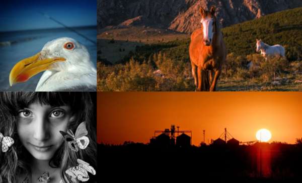 Las fotos de la semana en el Instagram de La Nueva.