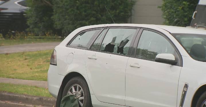 Sydney news: Manhunt under way after elderly couple targeted in shooting twice in two days