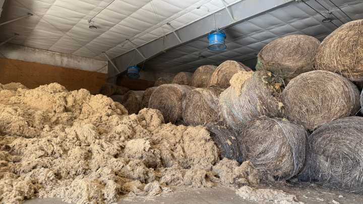 SD Hemp industry grows amid federal legality battle