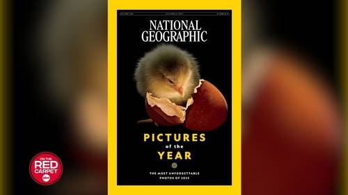 National Geographic reveals 2025 Pictures of the Year, from wildlife to landscapes, scientific discoveries and human narratives